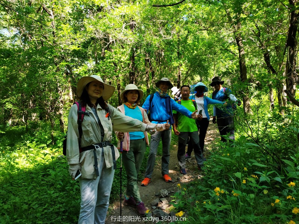 mmexport1560084526801