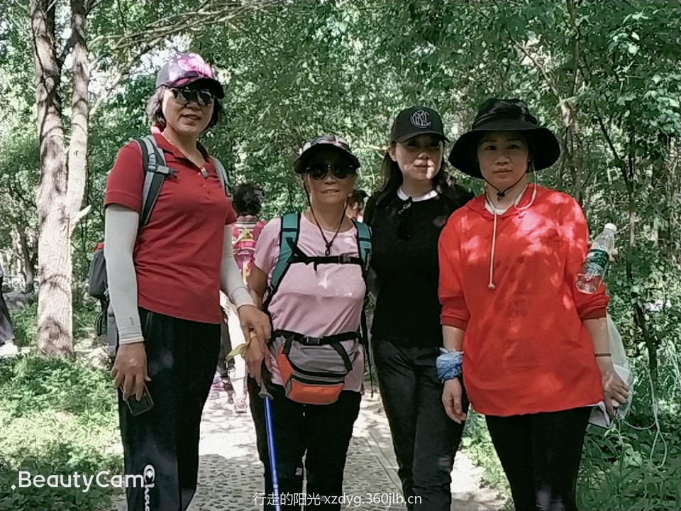 mmexport1560085306786