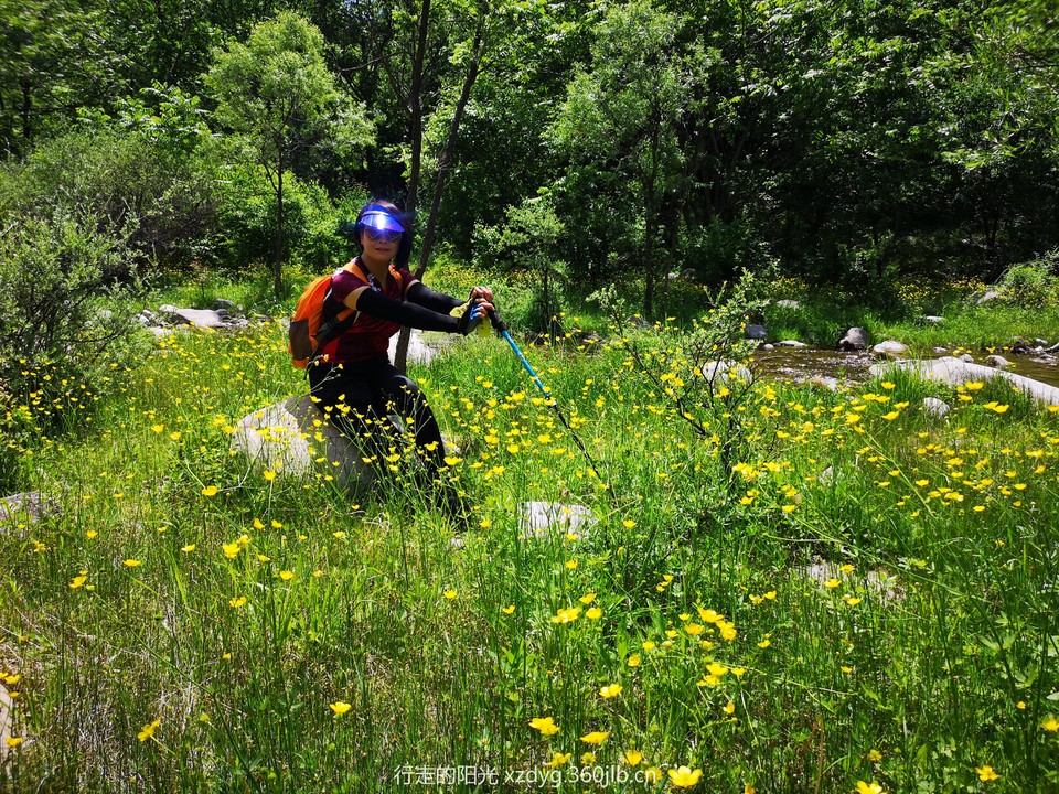 mmexport1560127048657