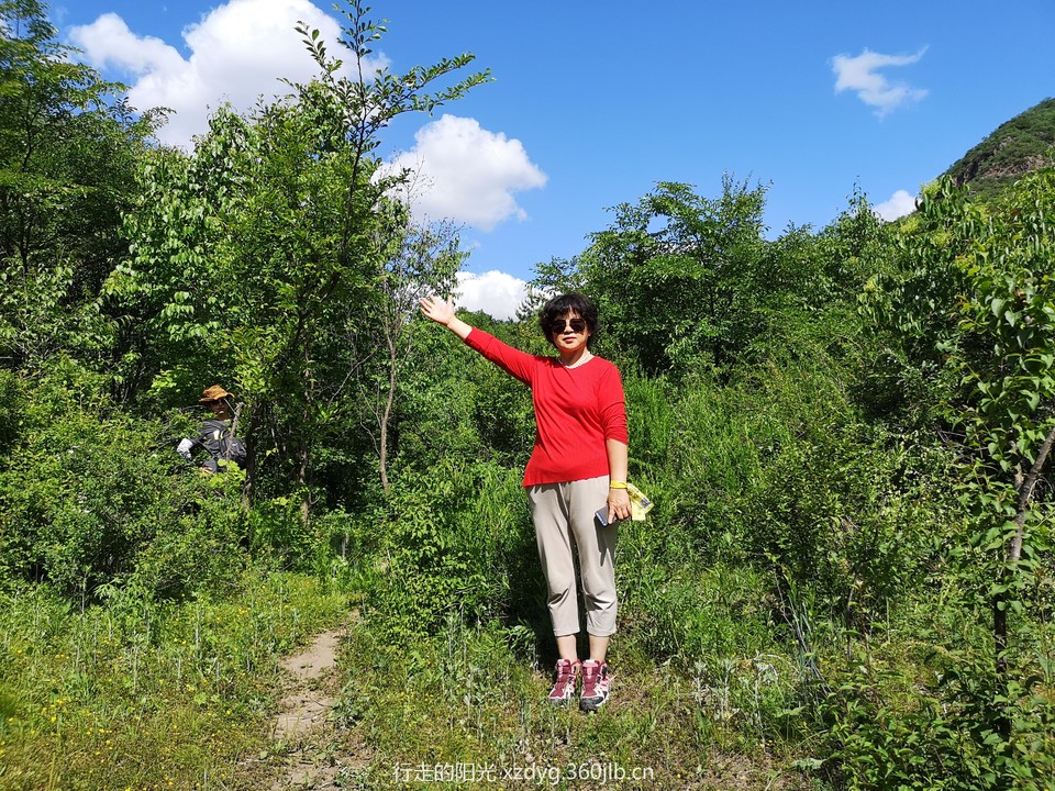 mmexport1560127416374