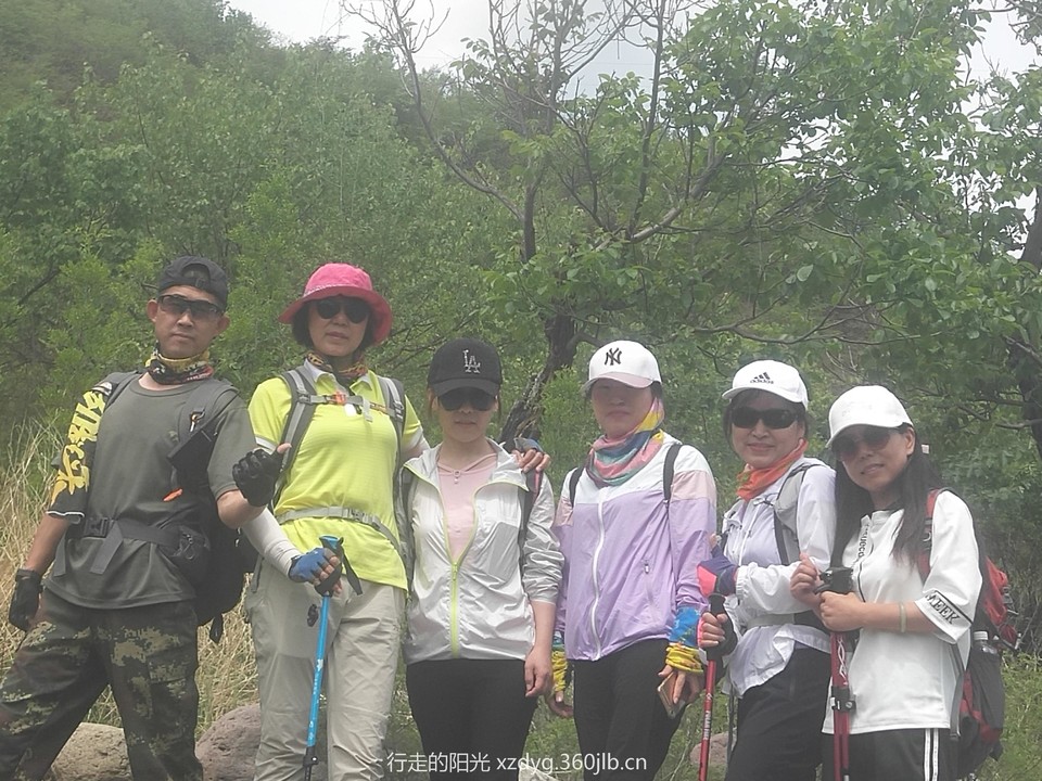 mmexport1559450476936