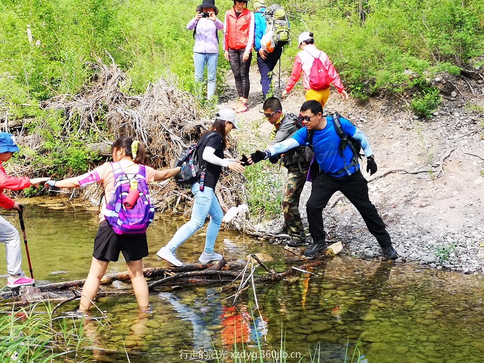 mmexport1559450584846