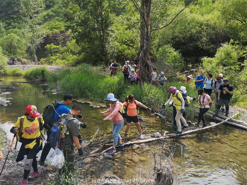 mmexport1559451086459