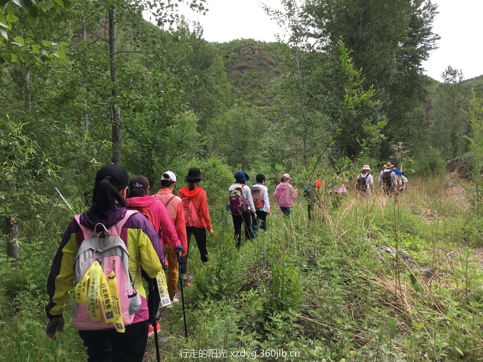 mmexport1559451369231