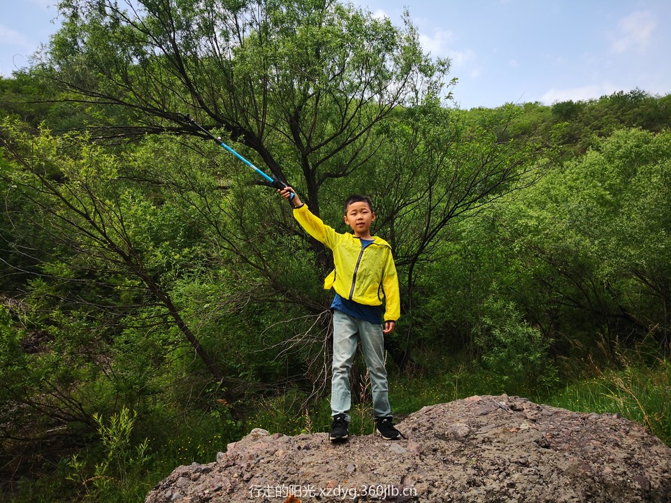 mmexport1559453286822