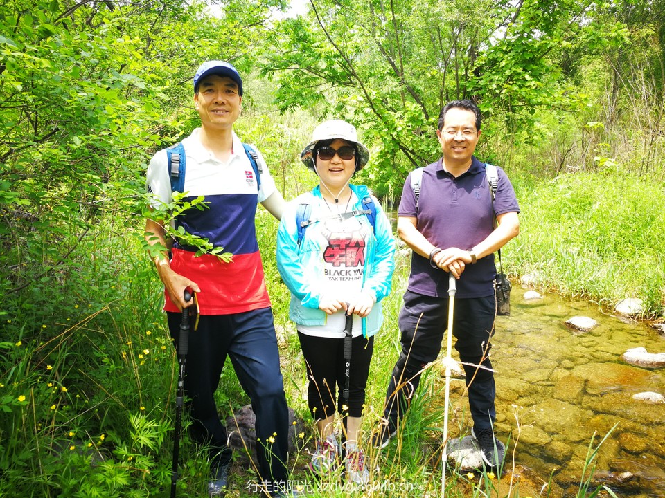 mmexport1559453673699