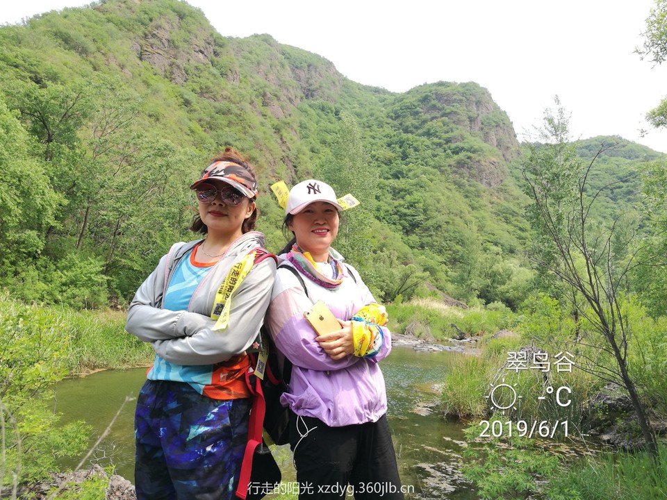 mmexport1559454096855