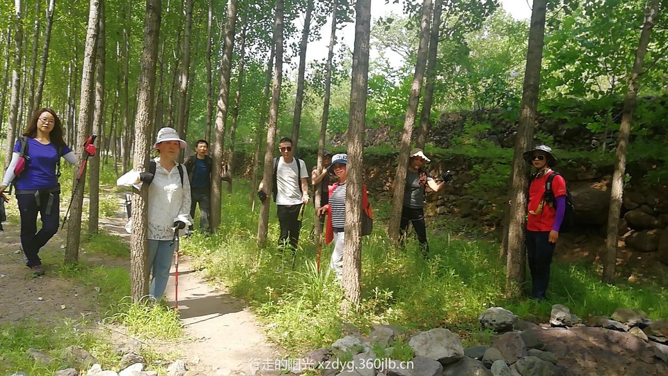 mmexport1560661028336