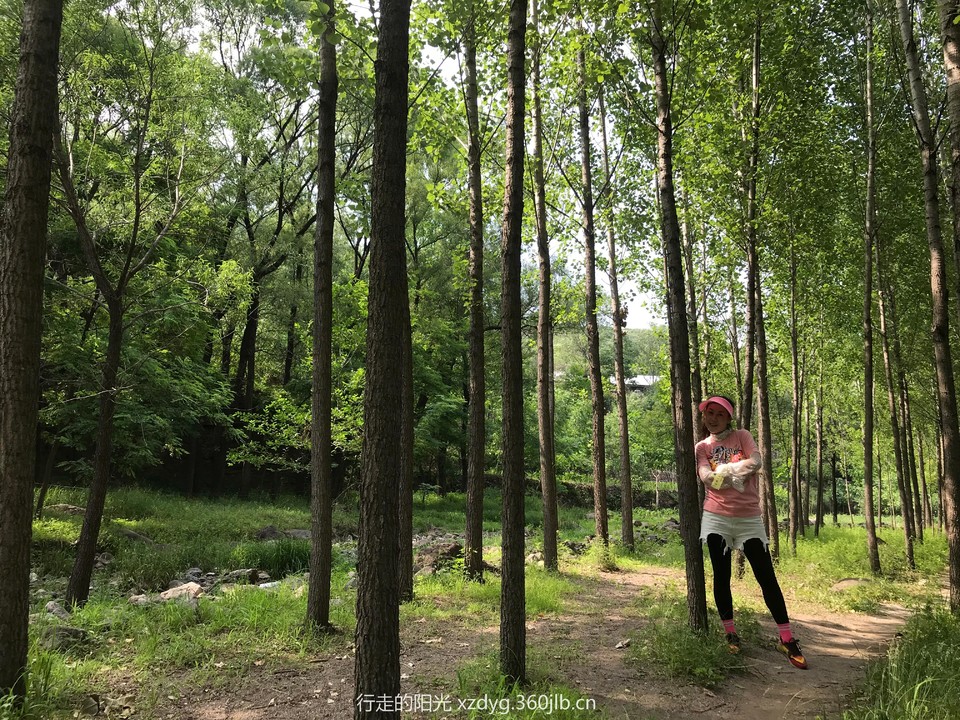 mmexport1560661069045