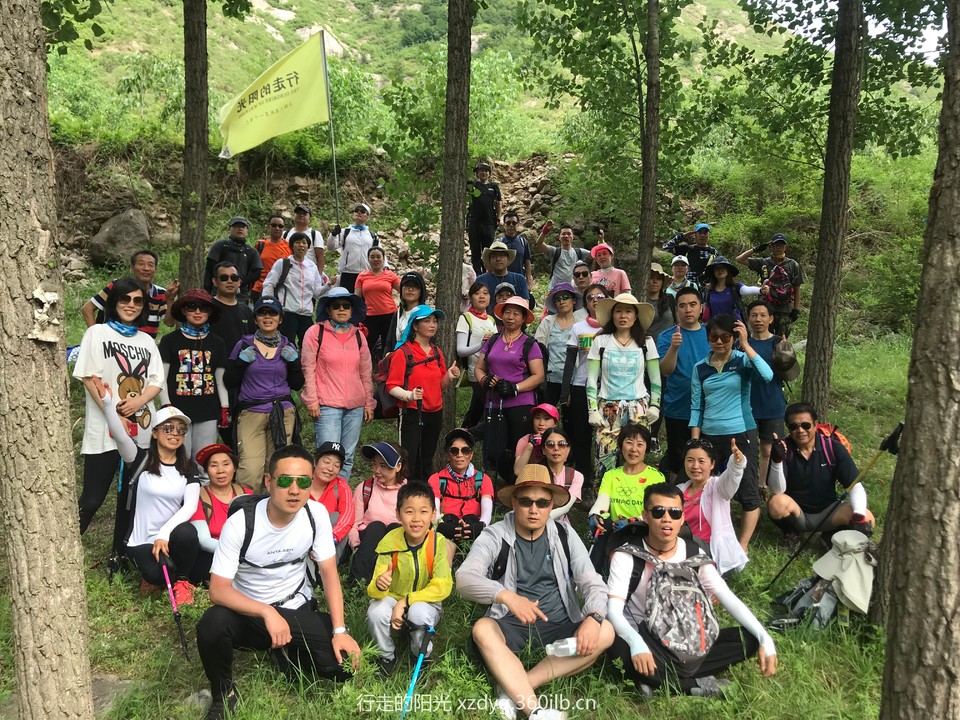 mmexport1560661275712