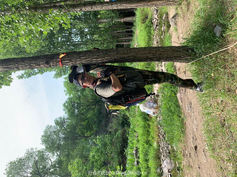 mmexport1560661473206