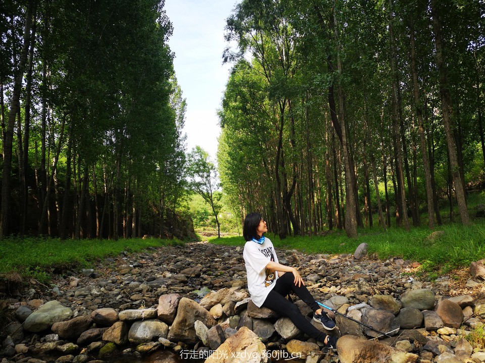 mmexport1560661534513