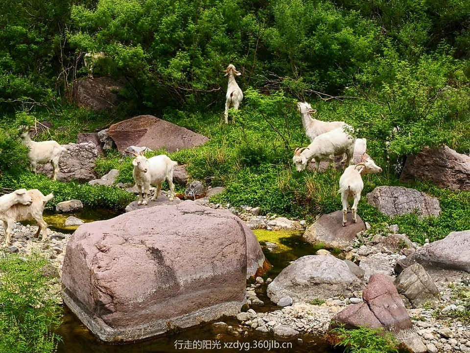 mmexport1560661874171