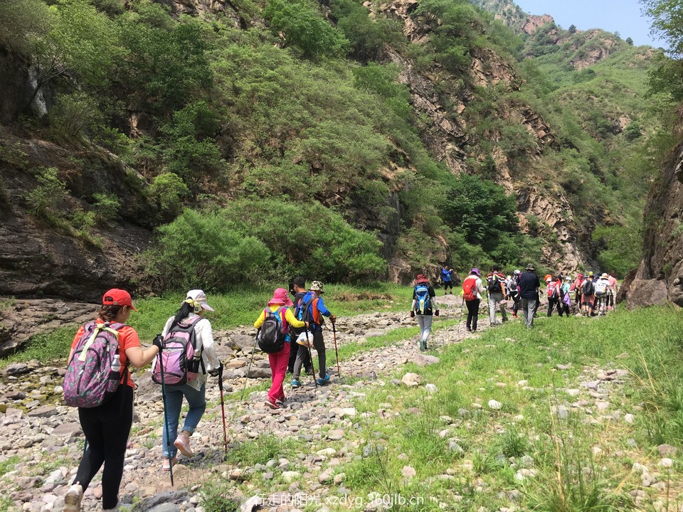 mmexport1560662049366