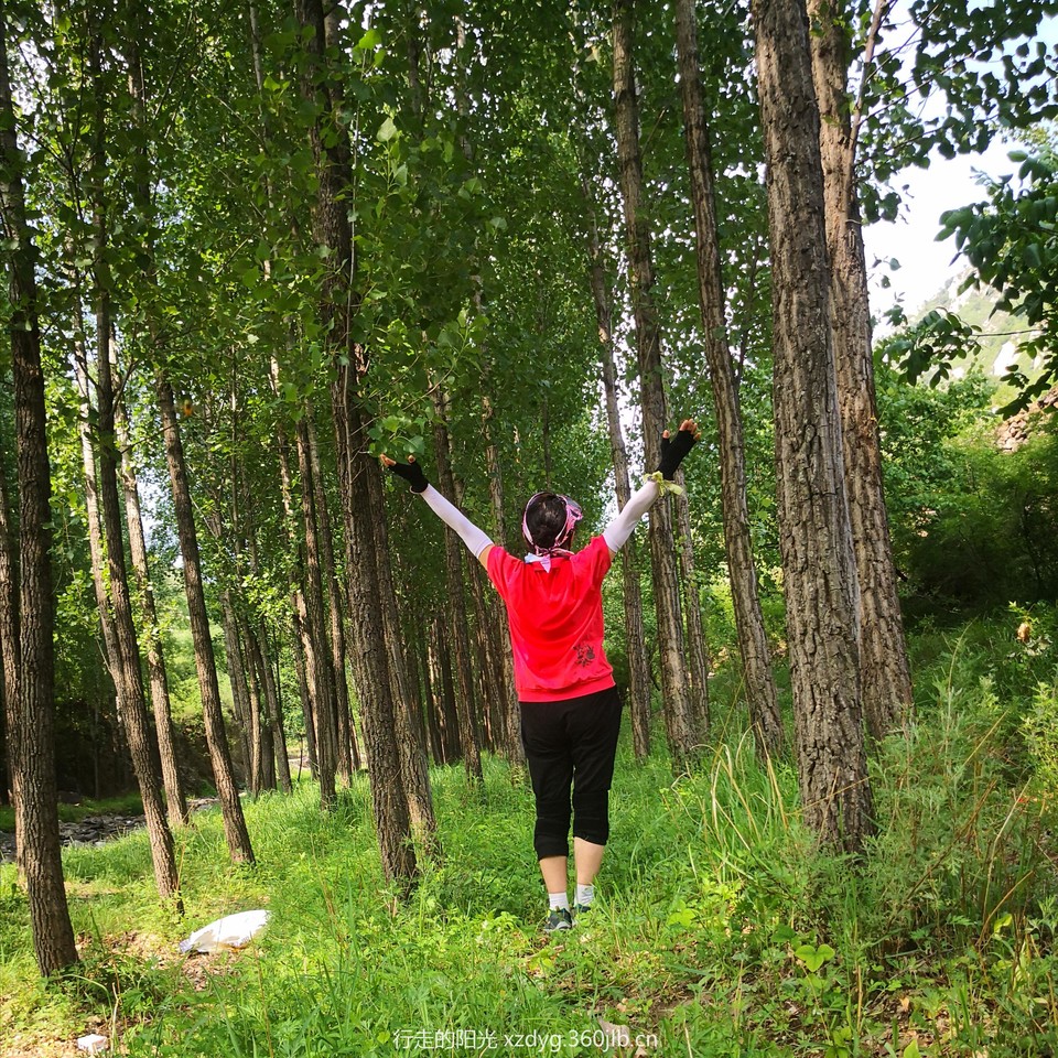 mmexport1560662185109