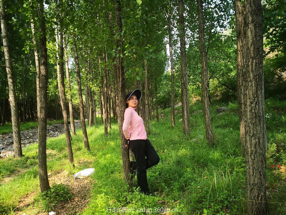 mmexport1560662220799