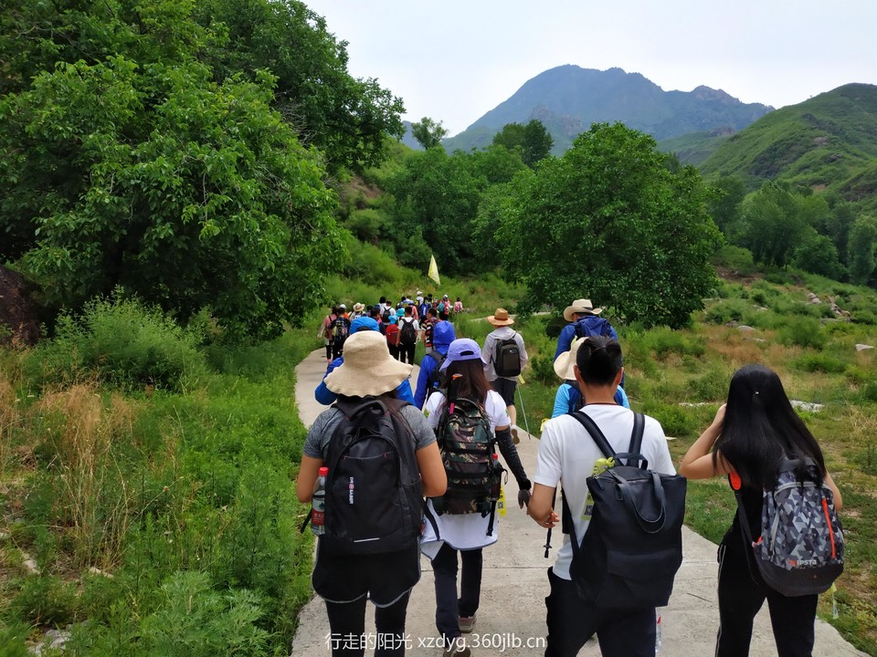 mmexport1560662741716