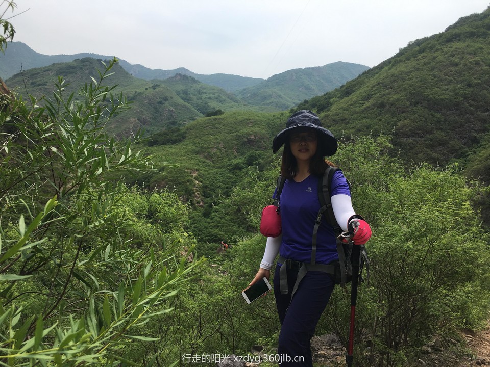 mmexport1560662969529