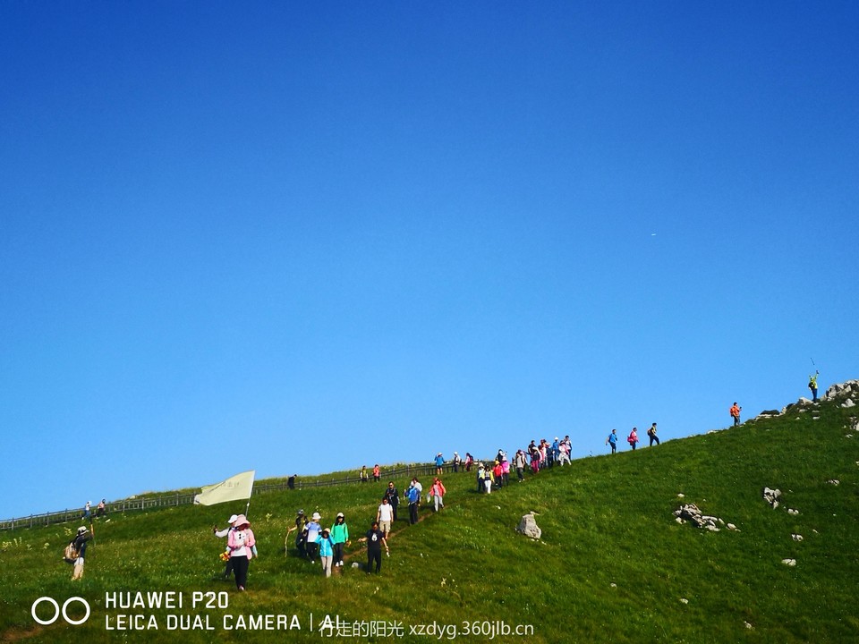 mmexport1561280374521