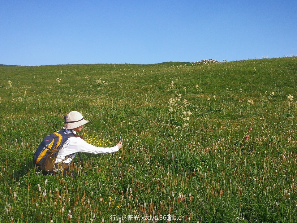 mmexport1561286625205