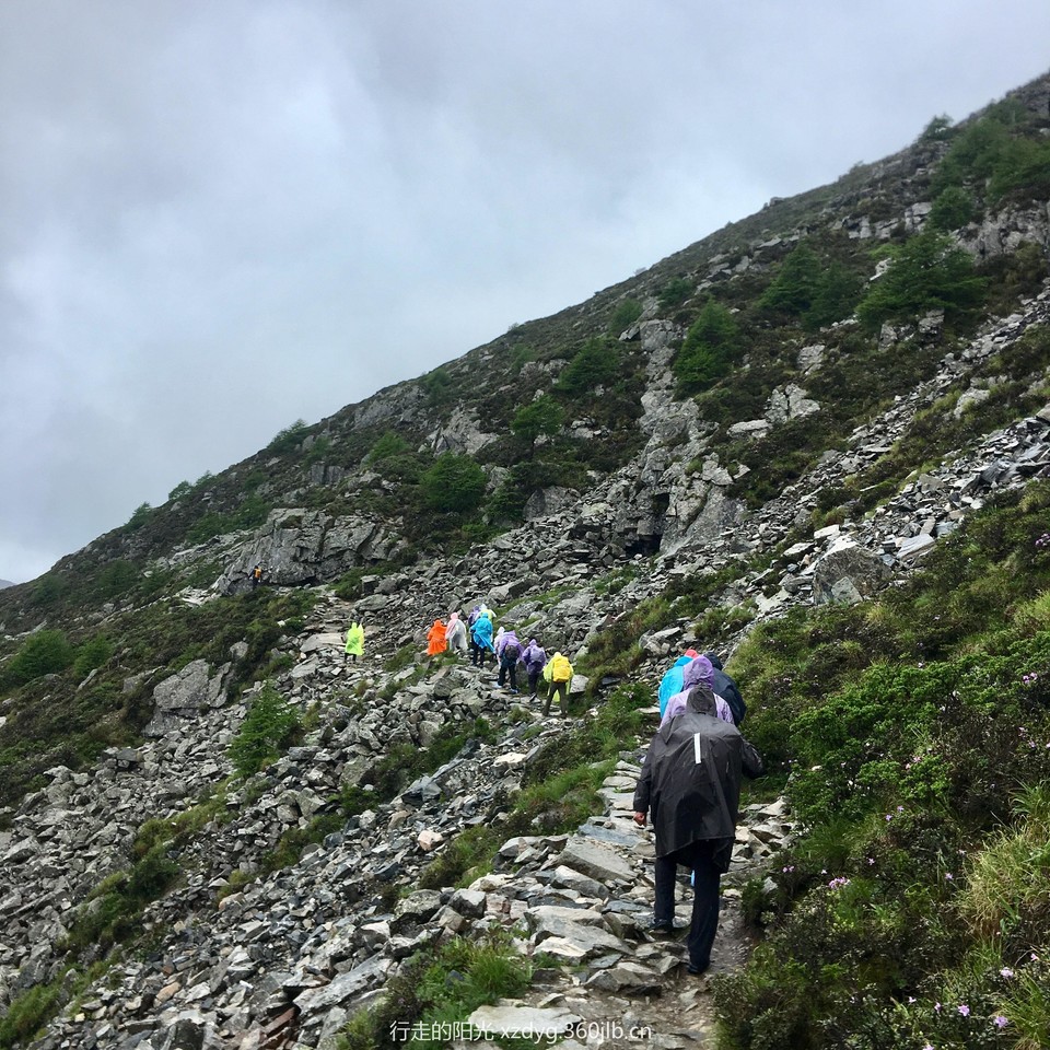 mmexport1561823862487