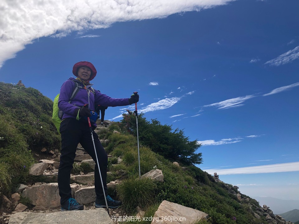 mmexport1561825584561