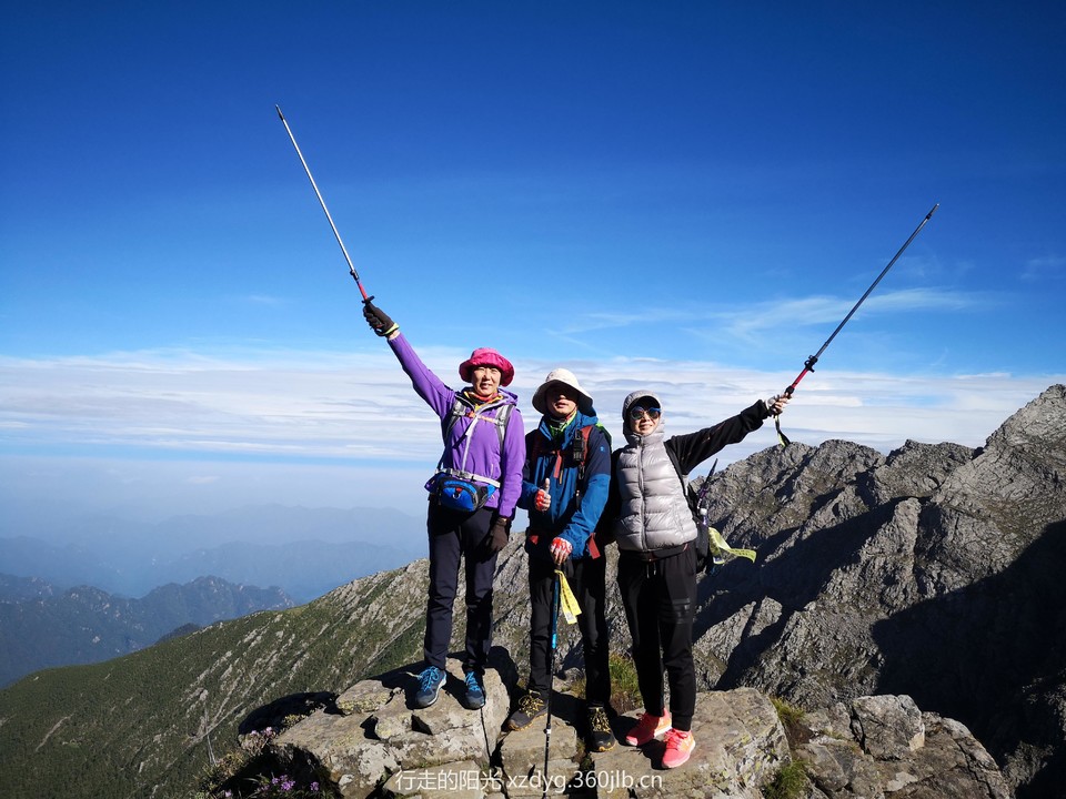 mmexport1562028994224