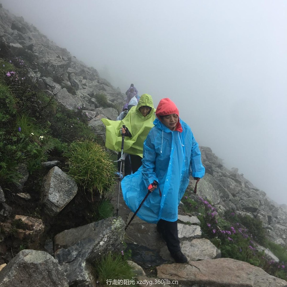 mmexport1561823851618