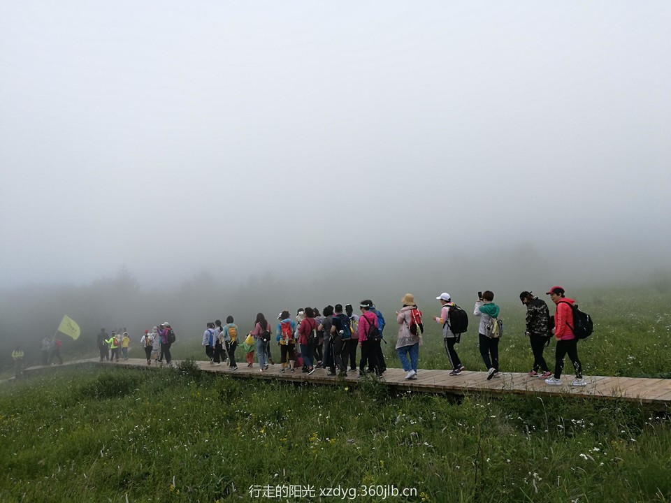 mmexport1562493919273