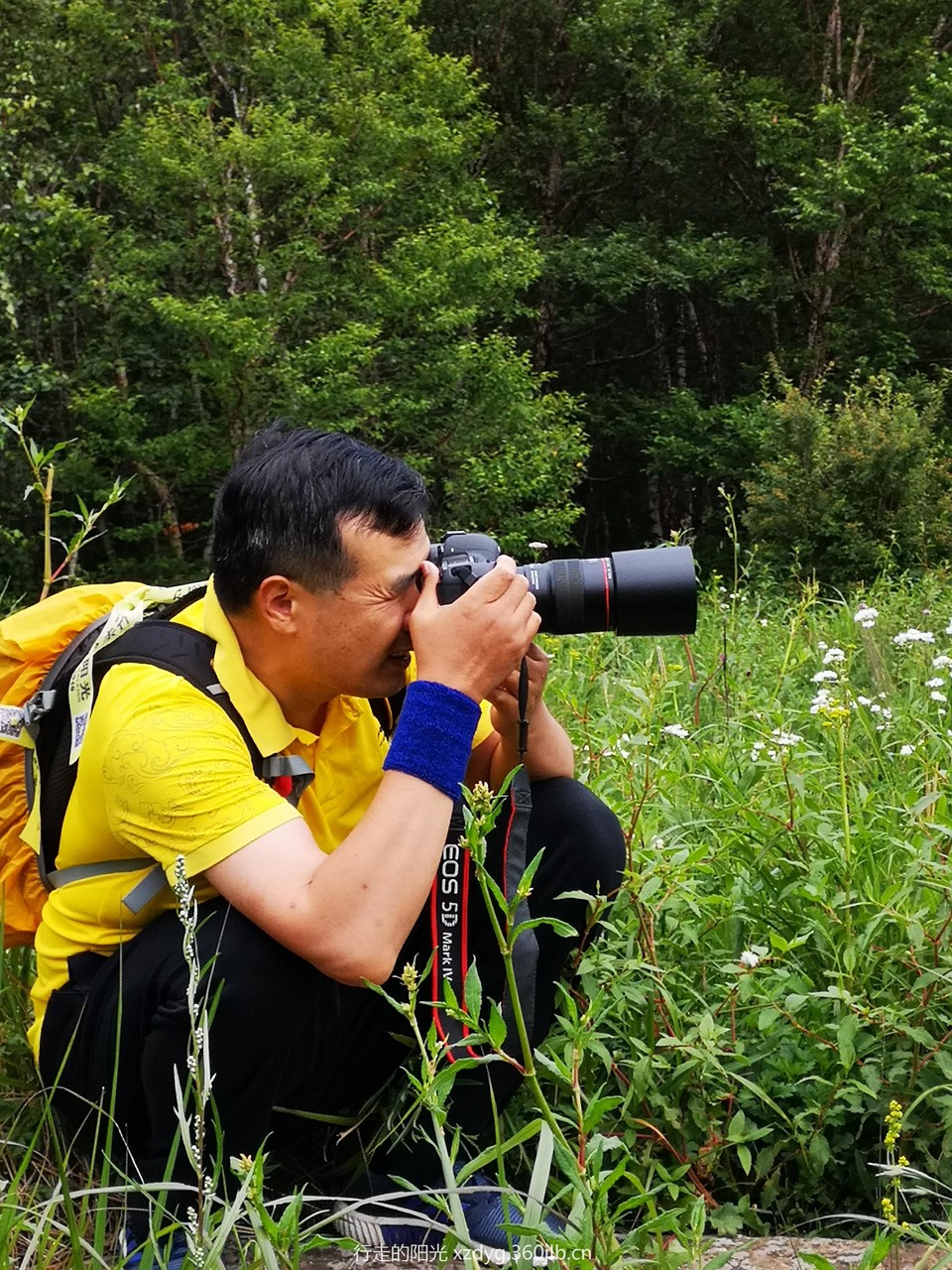 mmexport1562494187691