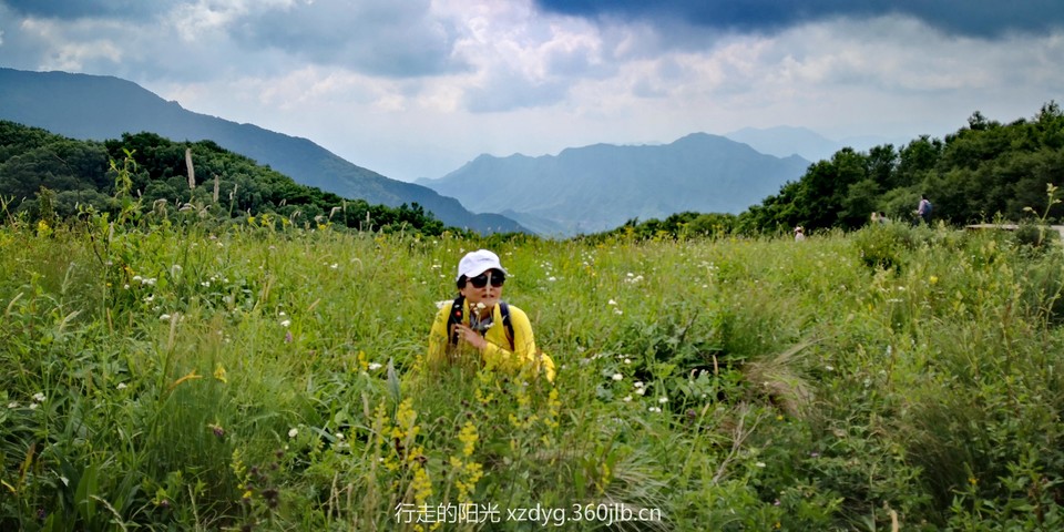 mmexport1562505184197