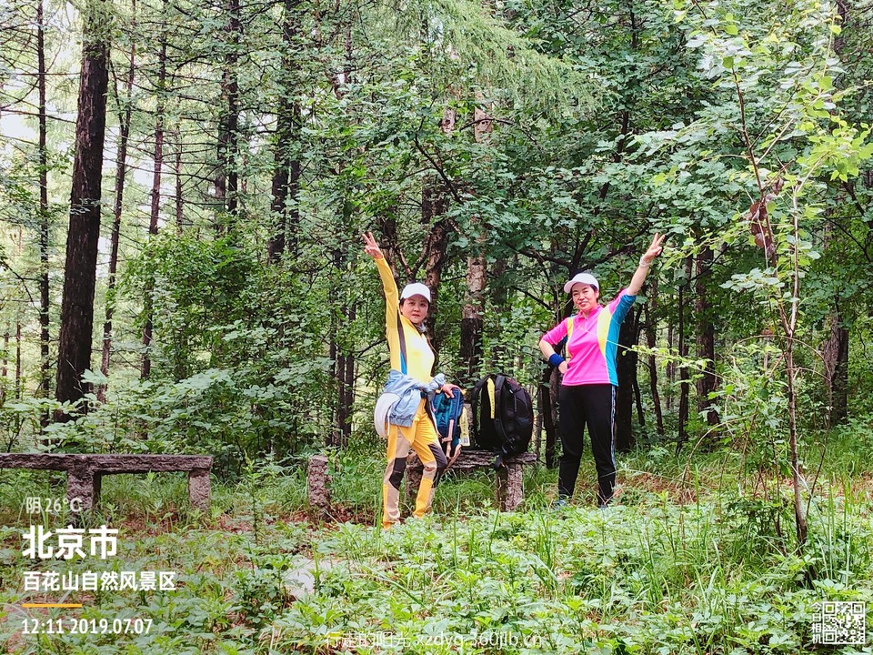 mmexport1562506122642