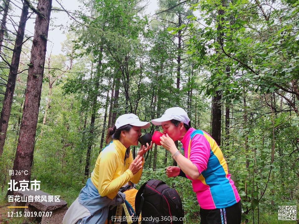 mmexport1562506152525