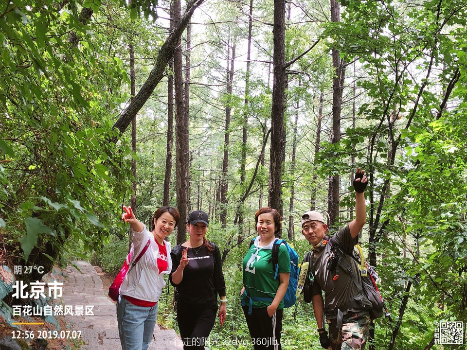 mmexport1562506222524