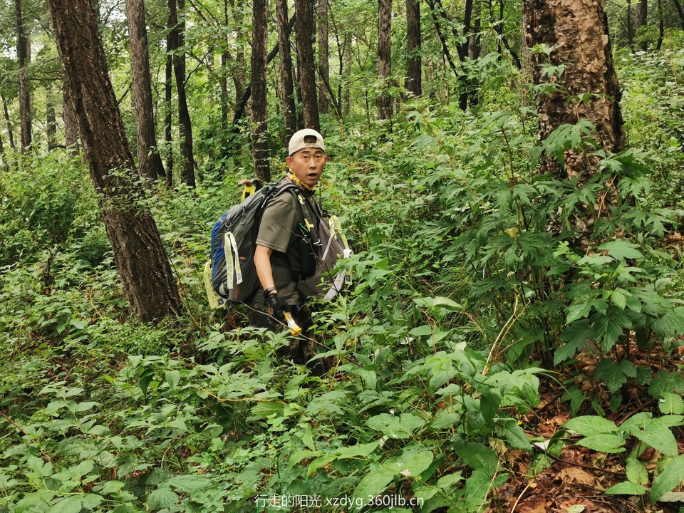 mmexport1562506927731