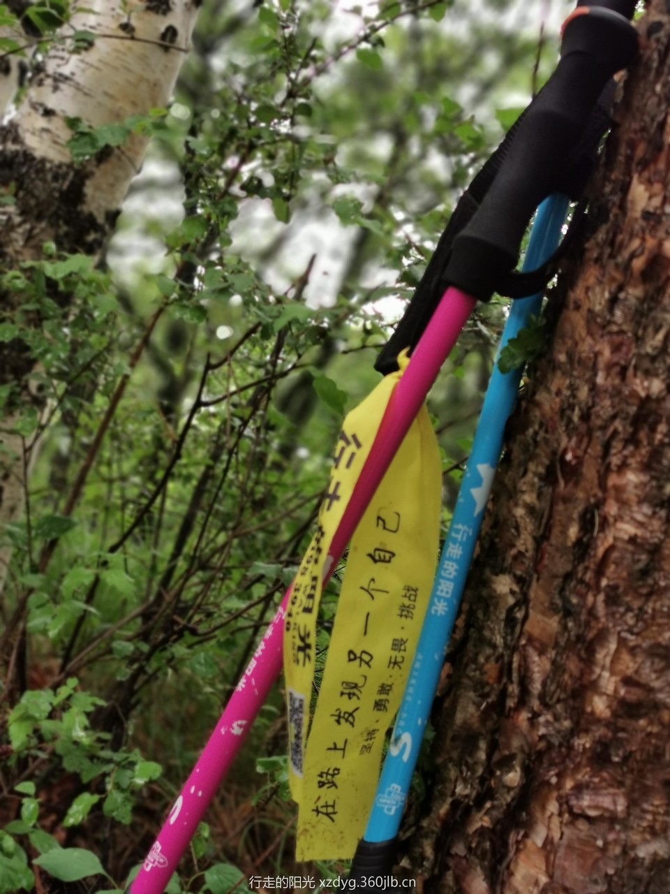 mmexport1562506976043