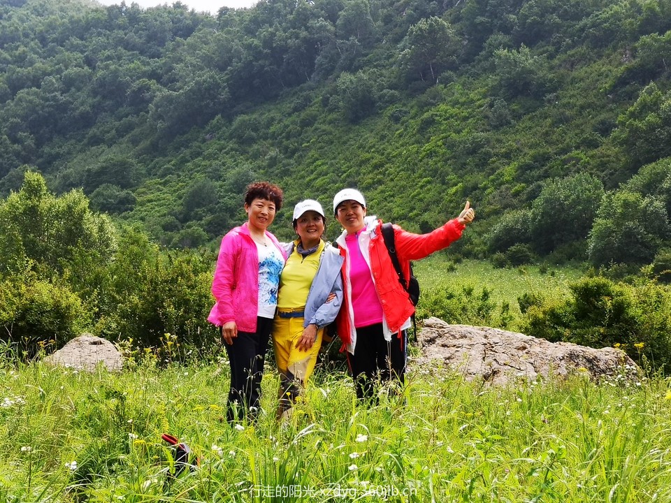 mmexport1562507017686