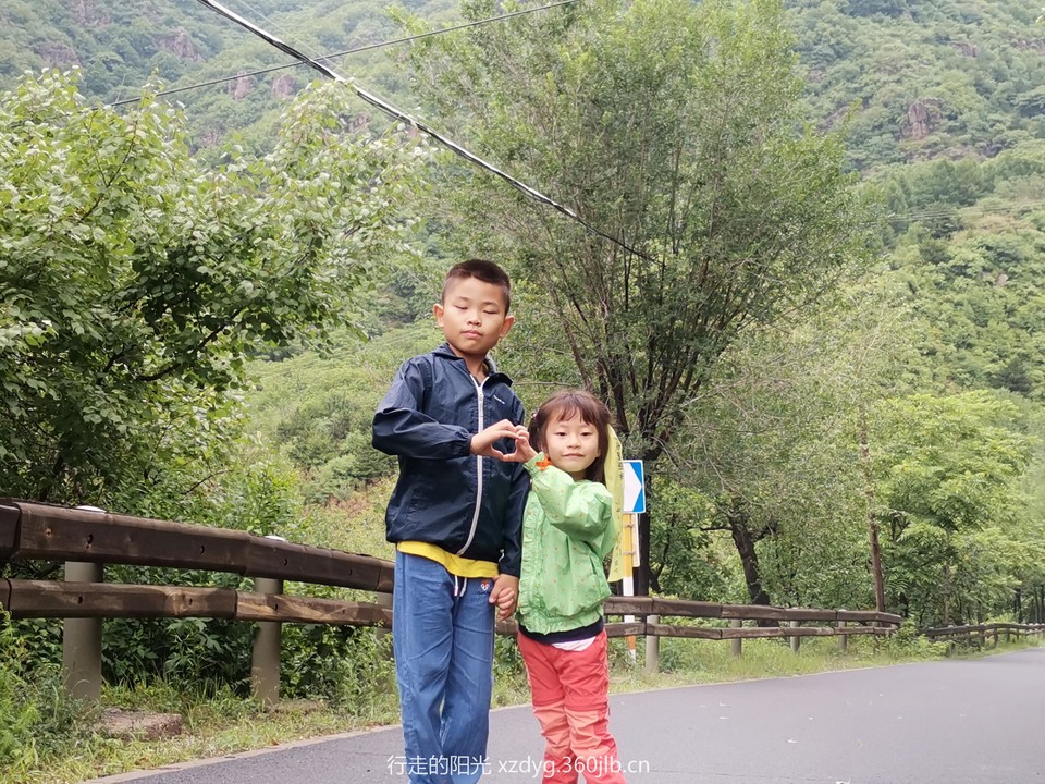 mmexport1562541444222