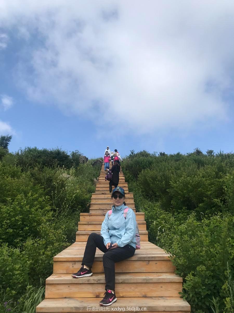 mmexport1562507484563