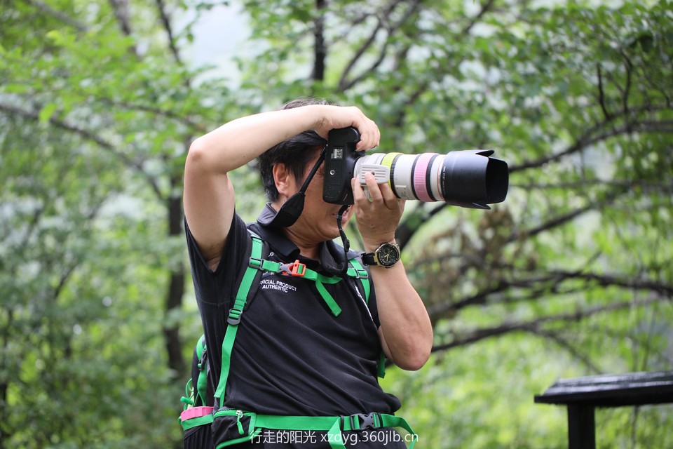 mmexport1562554043421