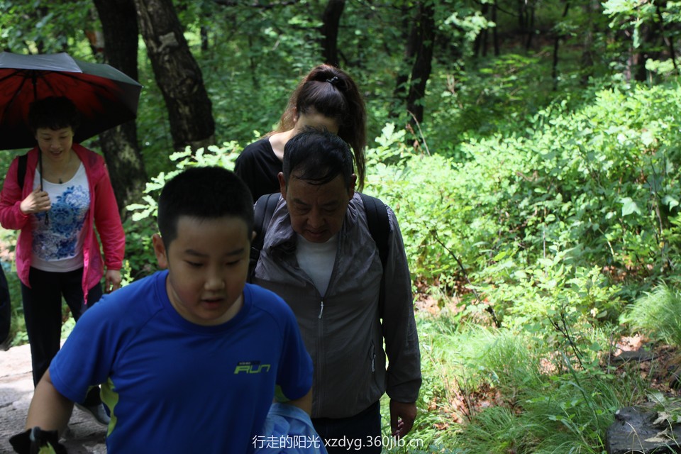 mmexport1562554138508