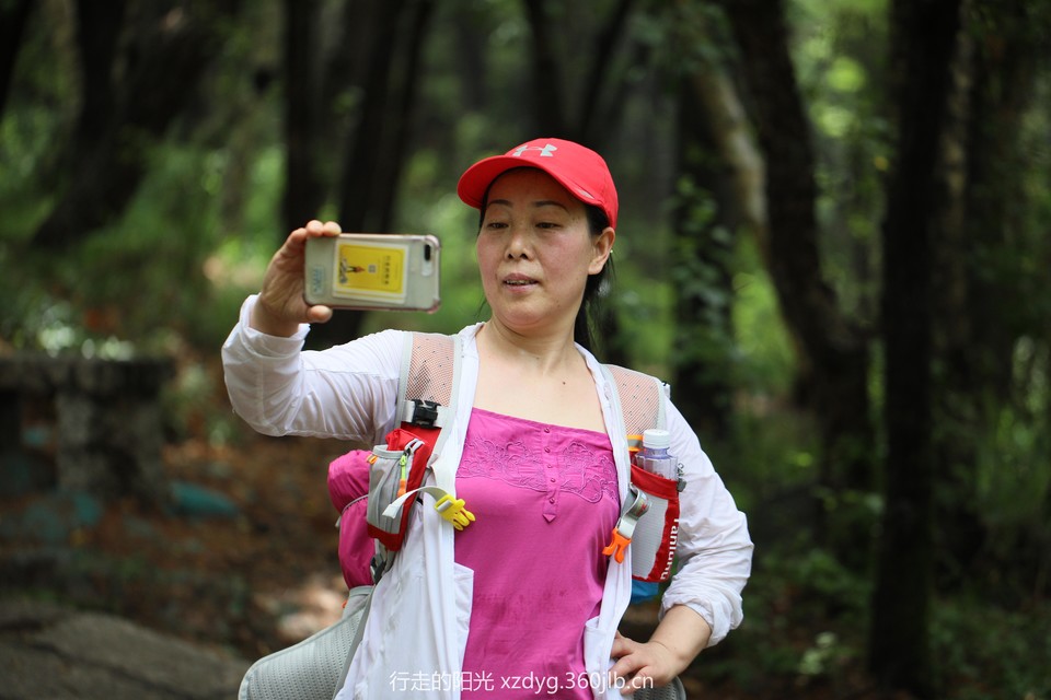 mmexport1562554202201