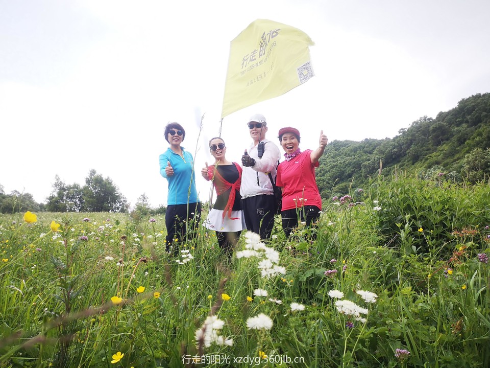 mmexport1562562300498