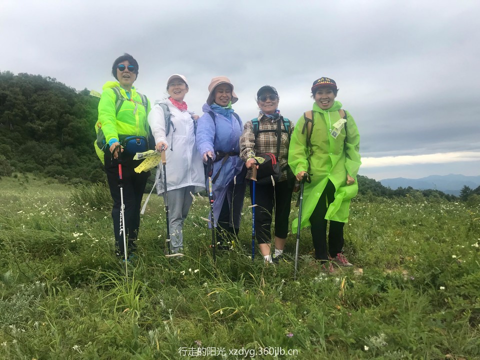 mmexport1562562803541