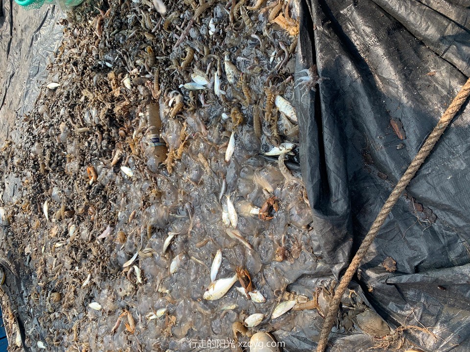 mmexport1567951671484