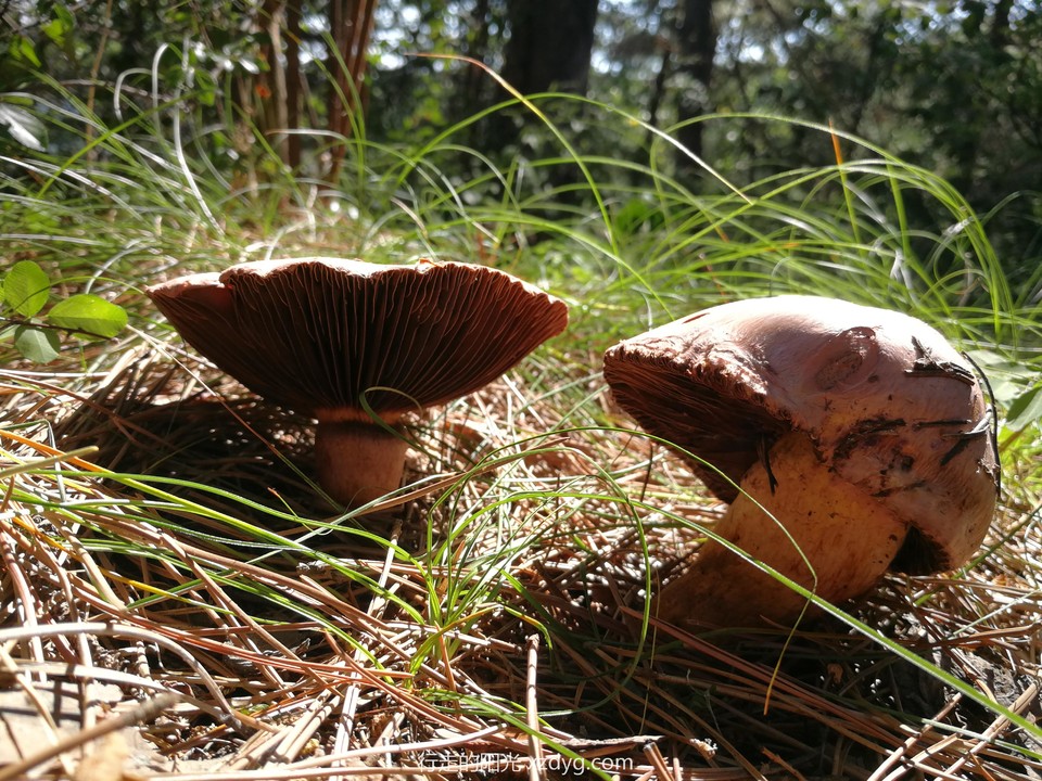 mmexport1567853536543