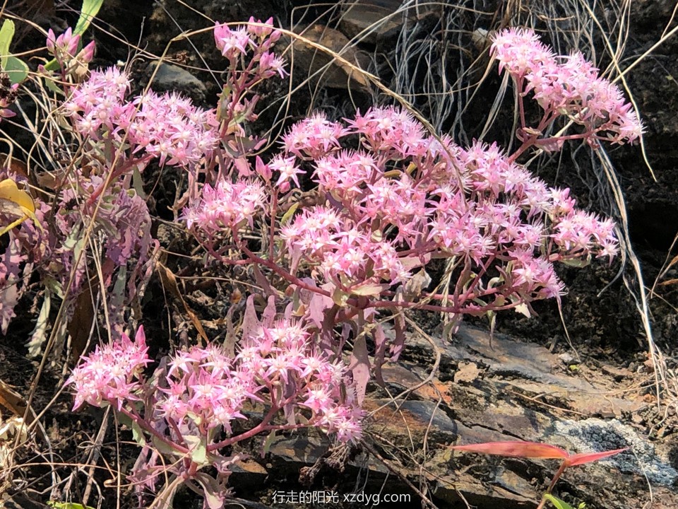 mmexport1567853547280