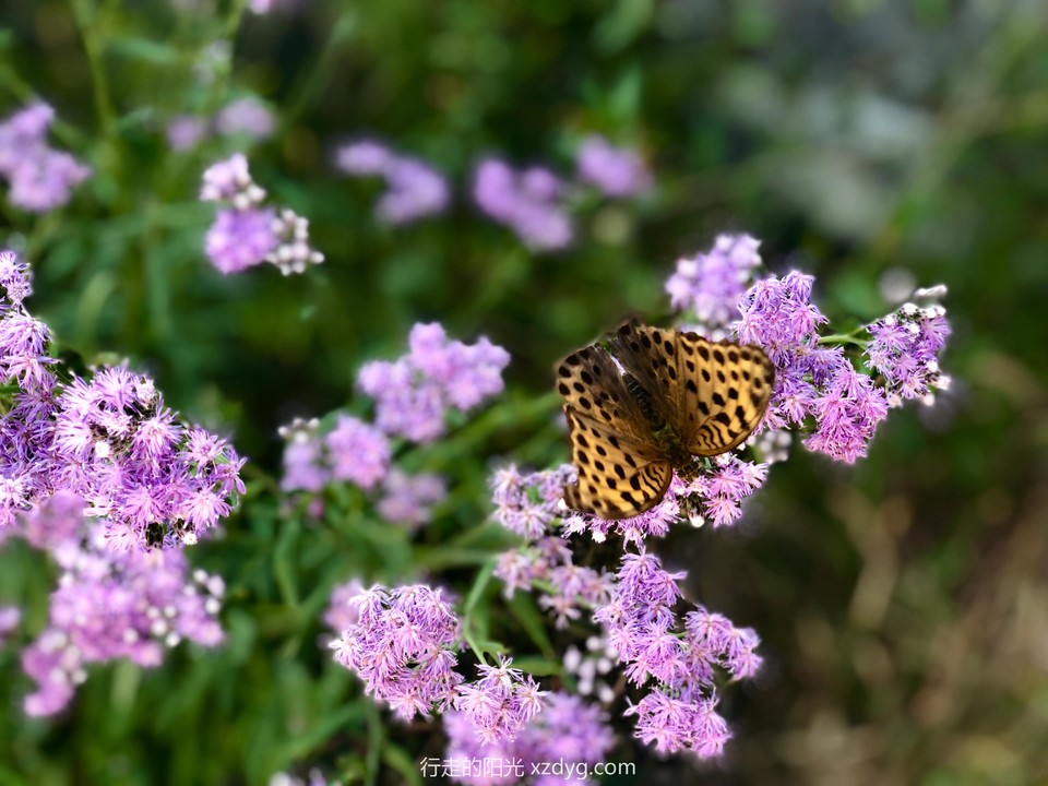 mmexport1567853565549