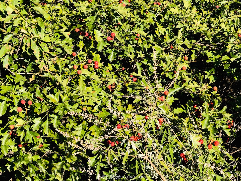 mmexport1567853586970