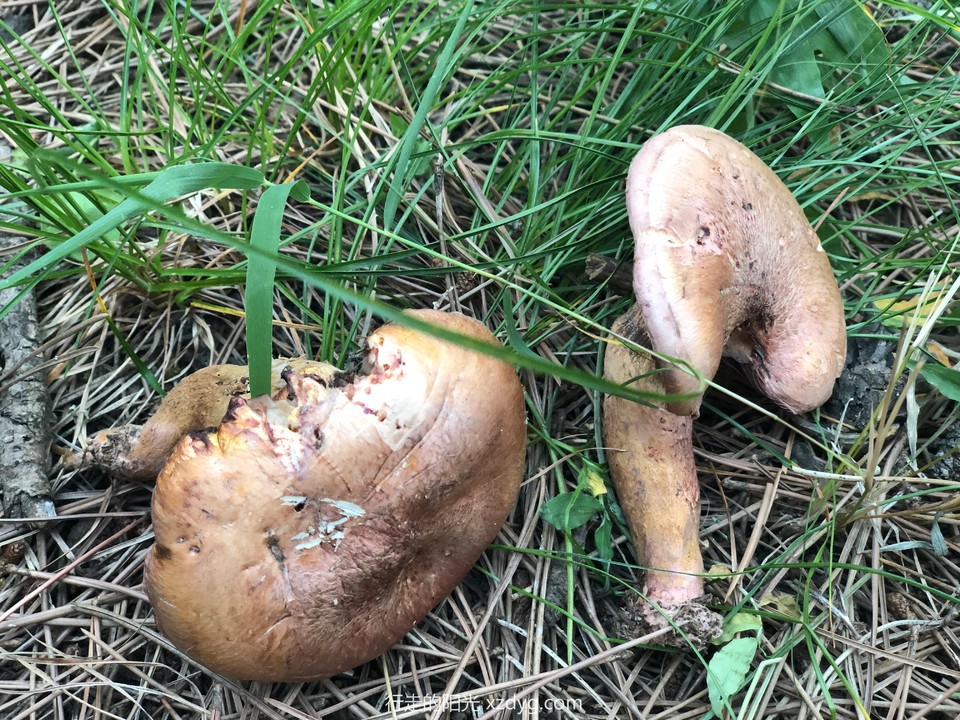 mmexport1567853606739